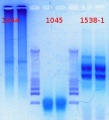 Thumbnail for version as of 09:51, 22 January 2013