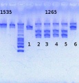 Thumbnail for version as of 14:18, 8 April 2013