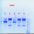 Thumbnail for version as of 12:33, 5 August 2013