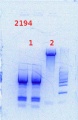 Thumbnail for version as of 11:59, 9 May 2014