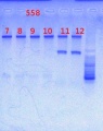 Thumbnail for version as of 14:03, 10 May 2013