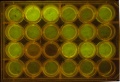 Thumbnail for version as of 10:52, 19 October 2014