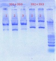 Thumbnail for version as of 16:42, 21 October 2011
