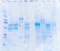 Thumbnail for version as of 18:25, 31 January 2011
