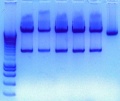 Thumbnail for version as of 10:43, 8 February 2011