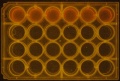 Thumbnail for version as of 15:36, 15 April 2016