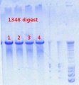 Thumbnail for version as of 15:05, 12 September 2012