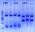 Thumbnail for version as of 15:35, 12 October 2012