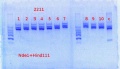 Thumbnail for version as of 16:30, 15 May 2014