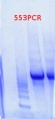 Thumbnail for version as of 13:56, 17 May 2013
