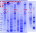Thumbnail for version as of 10:24, 26 July 2020