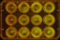 Thumbnail for version as of 11:34, 28 December 2011