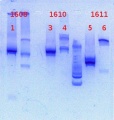 Thumbnail for version as of 13:54, 14 January 2013