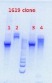 Thumbnail for version as of 09:40, 27 June 2013