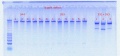 Thumbnail for version as of 13:05, 7 October 2011