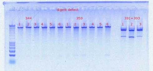 344,359,391+393digest detect10-7-2011.JPG