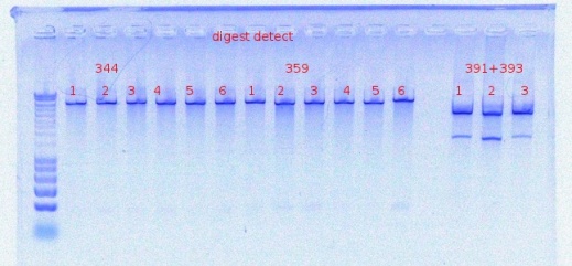 344,359,391+393digest detect10-7-2011.JPG
