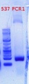 Thumbnail for version as of 09:54, 10 May 2012