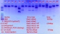 Thumbnail for version as of 13:56, 4 April 2018
