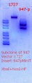 Thumbnail for version as of 19:44, 26 March 2018
