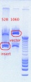 Thumbnail for version as of 12:51, 13 April 2012