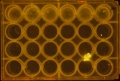 Thumbnail for version as of 12:57, 6 May 2016