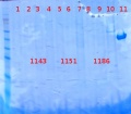 Thumbnail for version as of 10:34, 29 November 2012