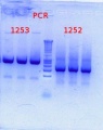 Thumbnail for version as of 11:12, 6 July 2012
