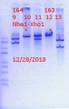 Thumbnail for version as of 15:31, 28 December 2018