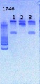 Thumbnail for version as of 15:34, 25 April 2013