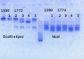 Thumbnail for version as of 13:39, 12 July 2013