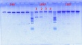 Thumbnail for version as of 13:10, 15 October 2012