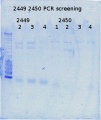 Thumbnail for version as of 16:28, 30 June 2015