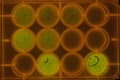 Thumbnail for version as of 19:37, 15 November 2011