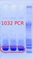 Thumbnail for version as of 15:19, 2 April 2012