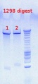 Thumbnail for version as of 14:38, 24 October 2012