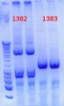 Thumbnail for version as of 13:35, 10 October 2012