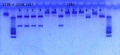 Thumbnail for version as of 16:40, 22 January 2013