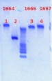 Thumbnail for version as of 14:34, 22 February 2013
