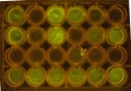Thumbnail for version as of 18:14, 10 August 2014
