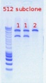 Thumbnail for version as of 09:44, 19 December 2011