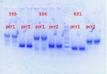Thumbnail for version as of 14:23, 25 June 2013