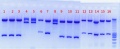 Thumbnail for version as of 15:41, 26 August 2011