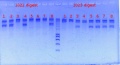 Thumbnail for version as of 13:41, 10 April 2012