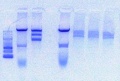 Thumbnail for version as of 15:17, 3 June 2012