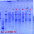 Thumbnail for version as of 15:20, 16 July 2012