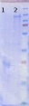 Thumbnail for version as of 13:56, 3 May 2013