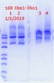 Thumbnail for version as of 22:12, 1 January 2019