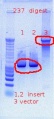 Thumbnail for version as of 17:35, 17 November 2011