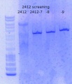 Thumbnail for version as of 10:12, 30 March 2015